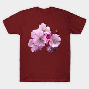 Cherry Blossoms - Closeup of Cherry Blossoms T-Shirt